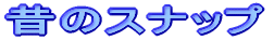 ̂̃Xibv