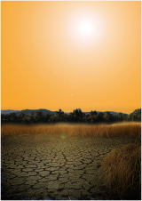 セピア色の貧困２